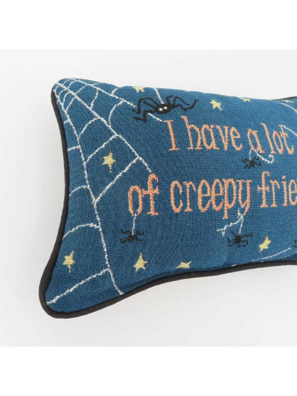 I Have A Lot Of Creepy Friends Cobweb Spider Halloween Spooky Accent Pillow